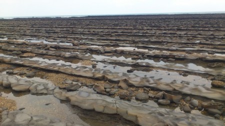 f:id:FukeGaO:20130301142503j:image