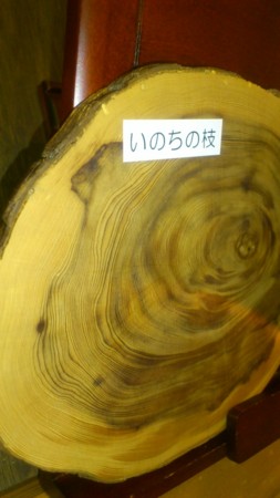 f:id:FukeGaO:20130303115112j:image