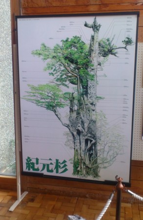 f:id:FukeGaO:20130303120808j:image
