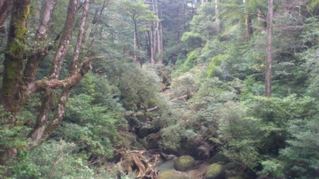 f:id:FukeGaO:20130303133114j:image