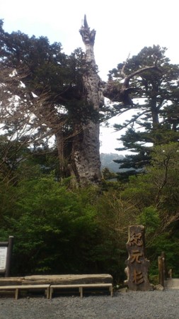 f:id:FukeGaO:20130303143937j:image