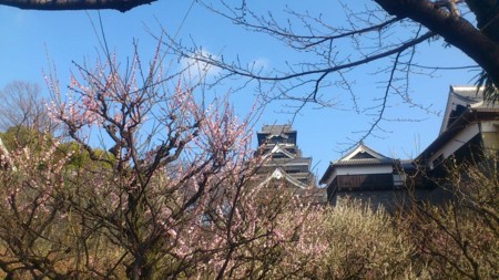 f:id:FukeGaO:20130304093345j:image