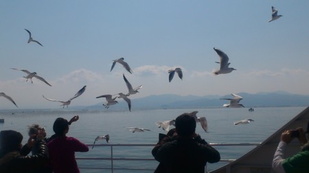 f:id:FukeGaO:20130304111617j:image