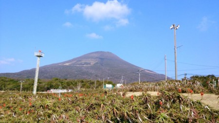f:id:FukeGaO:20140308142159j:image
