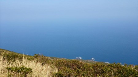 f:id:FukeGaO:20140309103515j:image