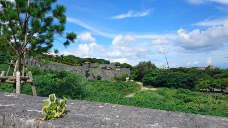 f:id:FukeGaO:20170721211749j:image