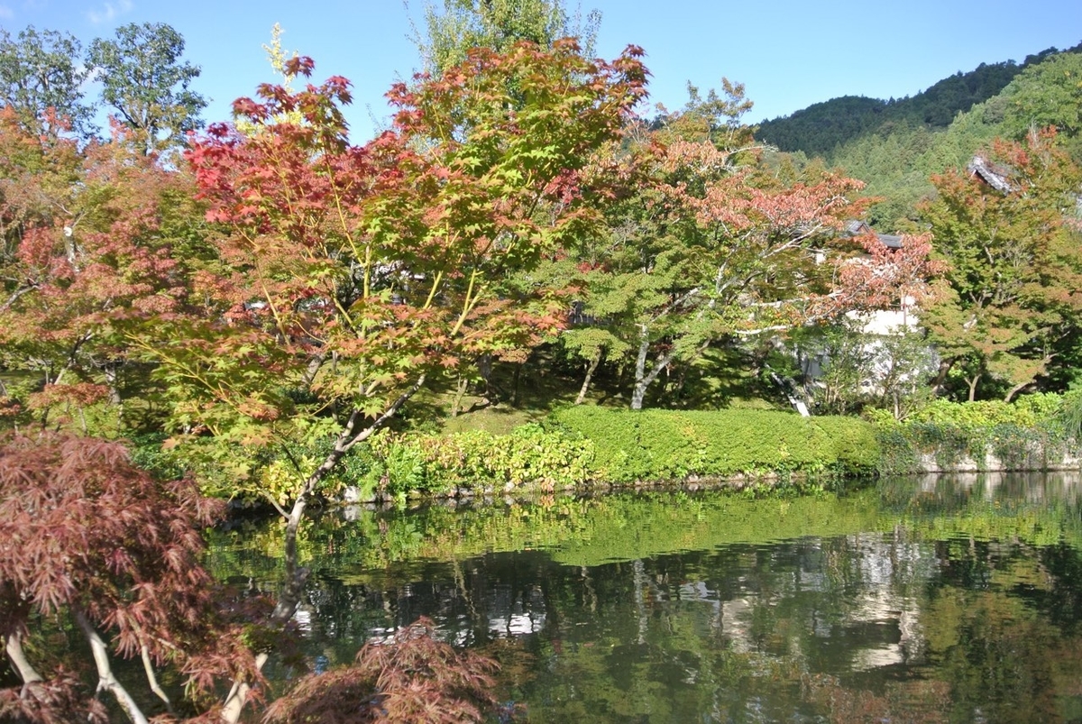 f:id:Fuku-I:20191128133403j:plain