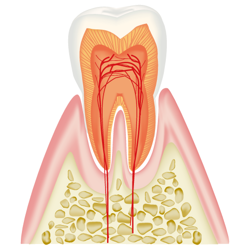 f:id:Fukumen-Dentist:20190323135022p:plain