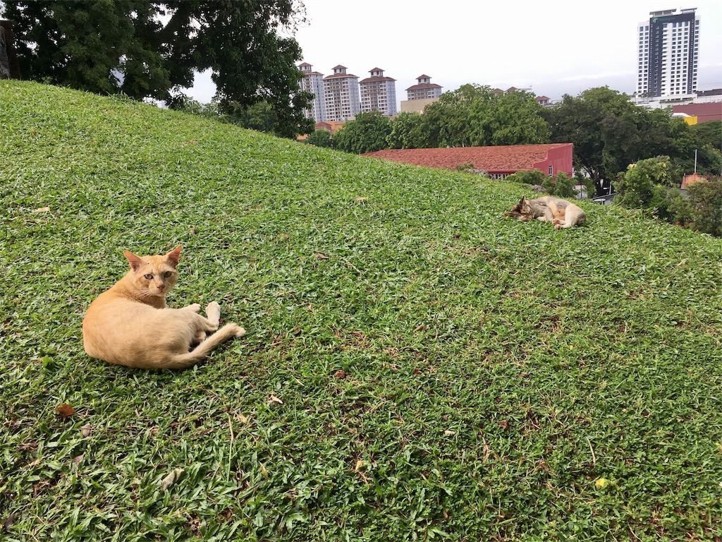 f:id:Fukuneko:20170814235244j:image