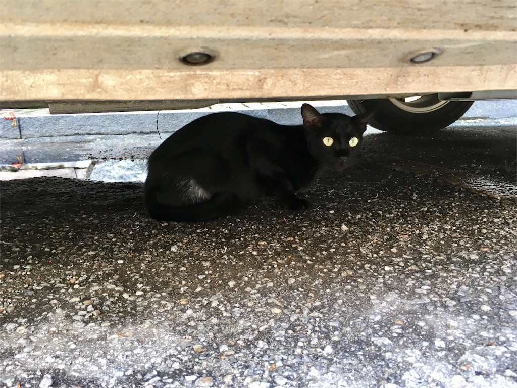 f:id:Fukuneko:20170814235301j:image