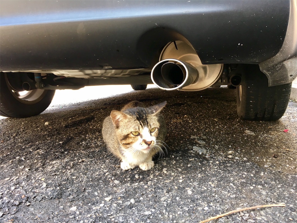 f:id:Fukuneko:20170814235313j:image