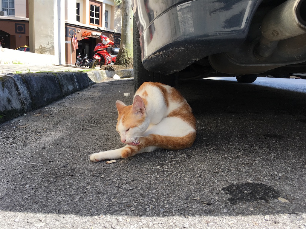 f:id:Fukuneko:20170814235451j:image