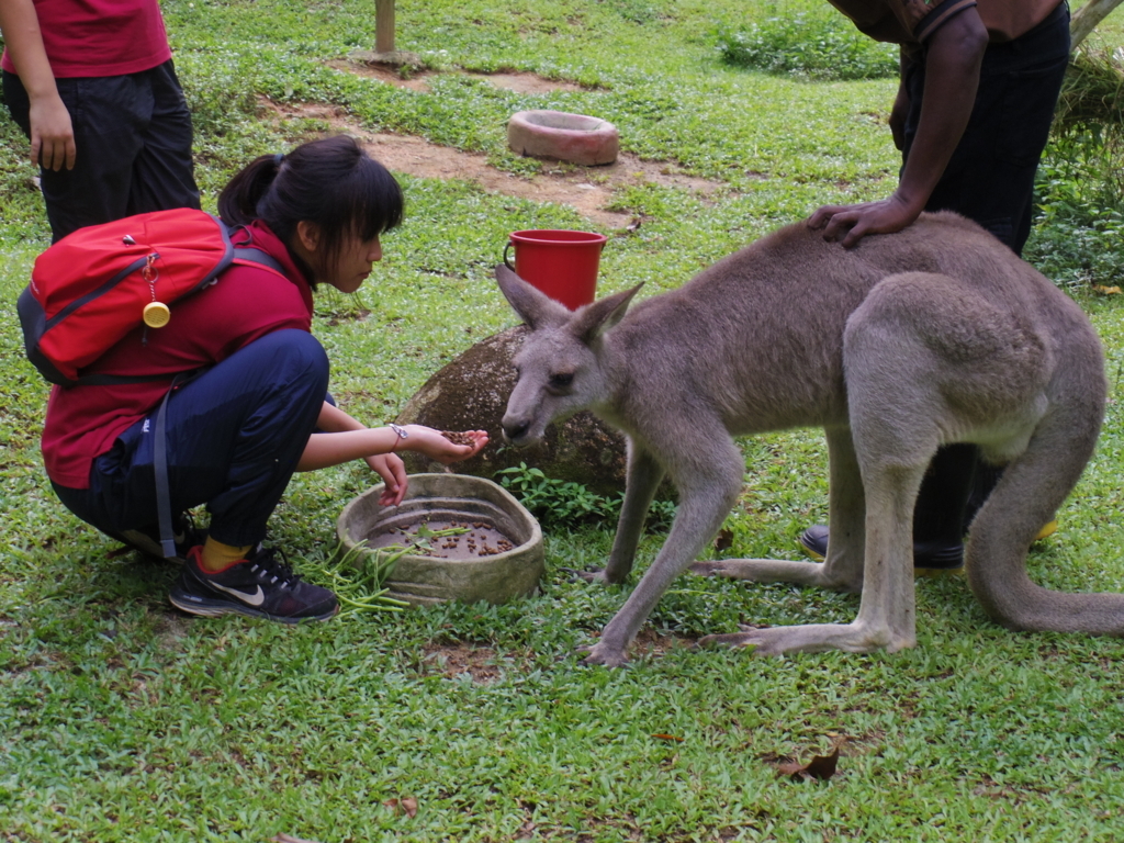 f:id:Fukuneko:20180201213547j:plain