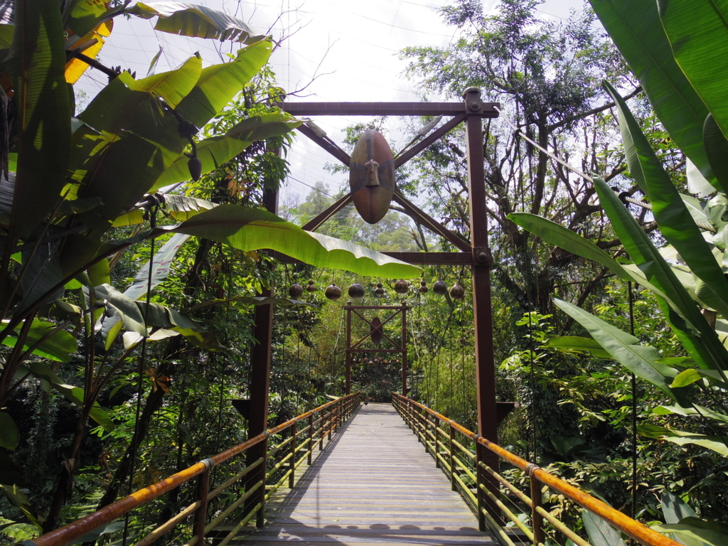 f:id:Fukuneko:20180201214946j:plain