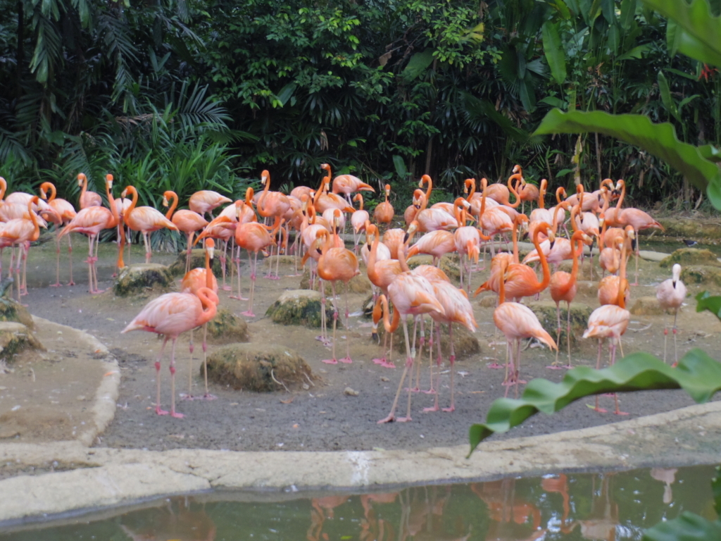 f:id:Fukuneko:20180201215116j:plain