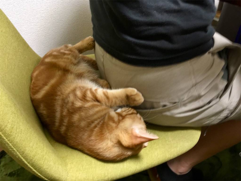 f:id:Fukuneko:20181103153323j:image