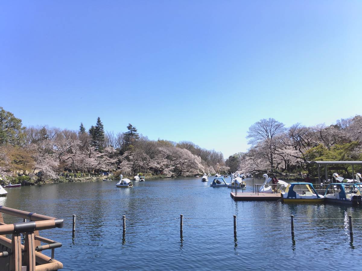 f:id:Fukuneko:20200325213600j:plain