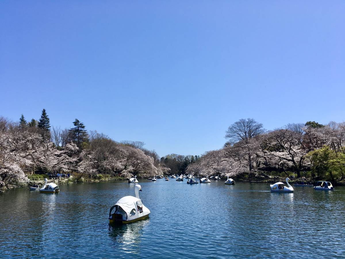 f:id:Fukuneko:20200325213703j:plain