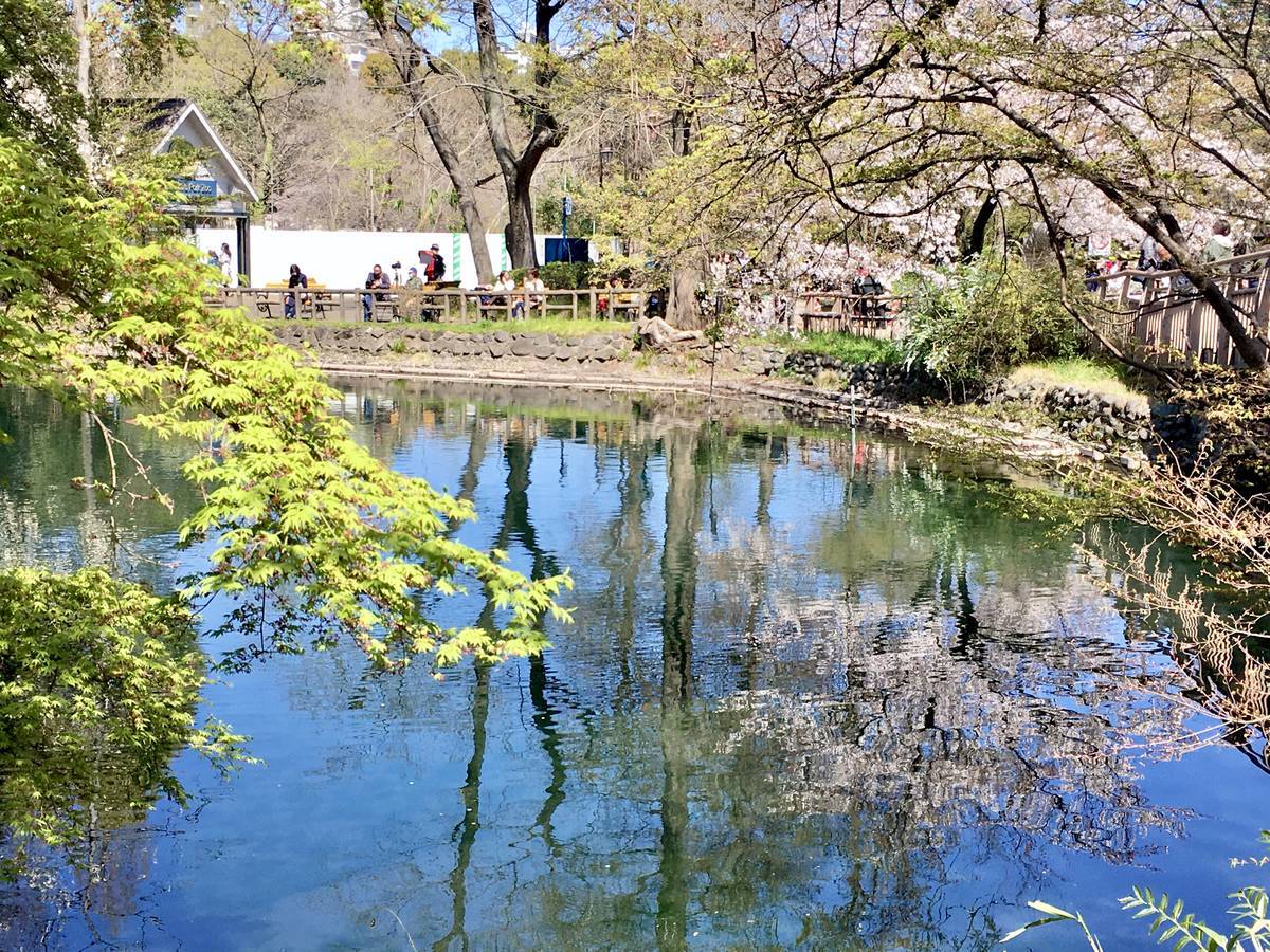f:id:Fukuneko:20200325214024j:plain