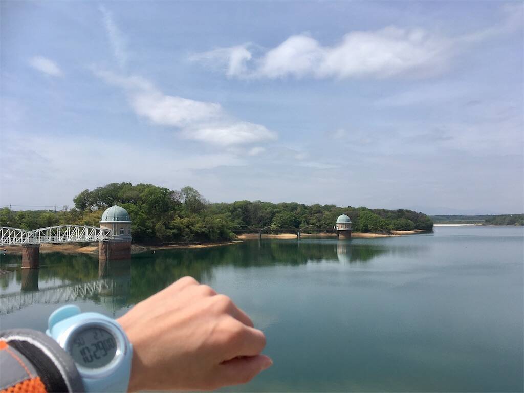 f:id:Fukuneko:20240714170511j:image