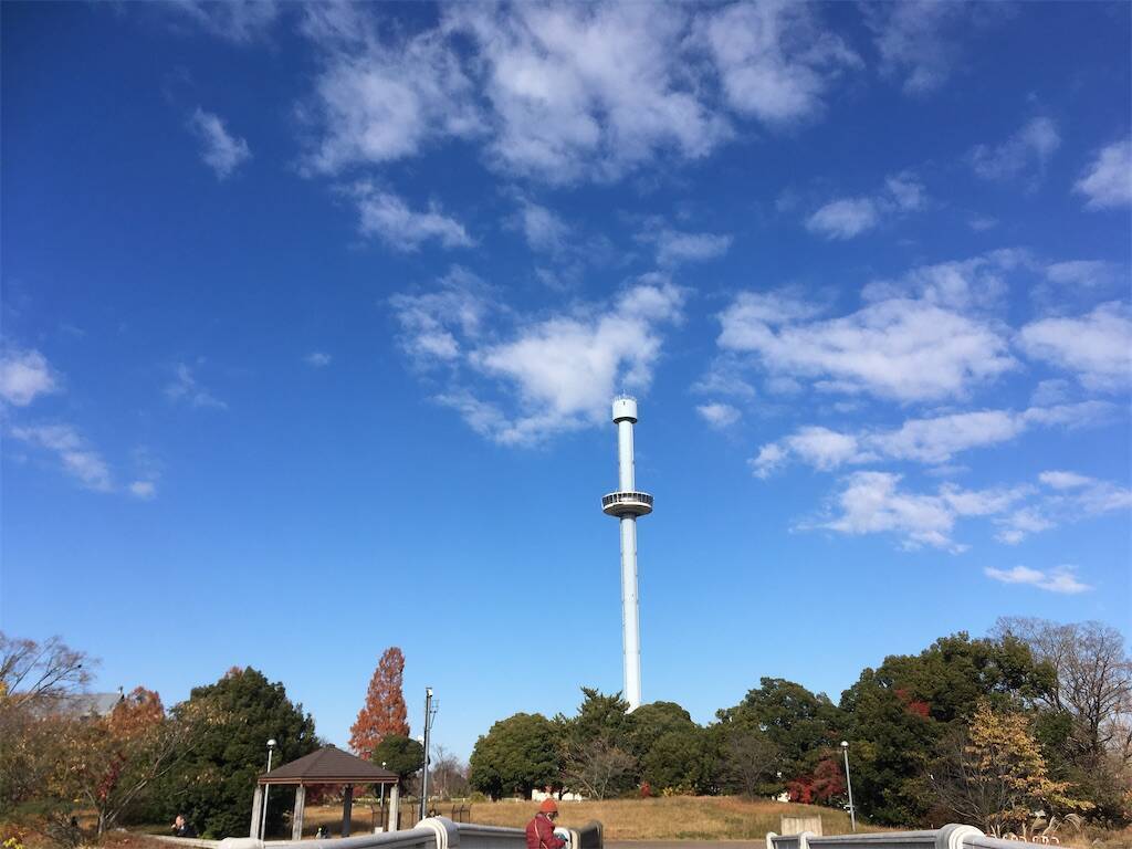 f:id:Fukuneko:20251130133525j:image