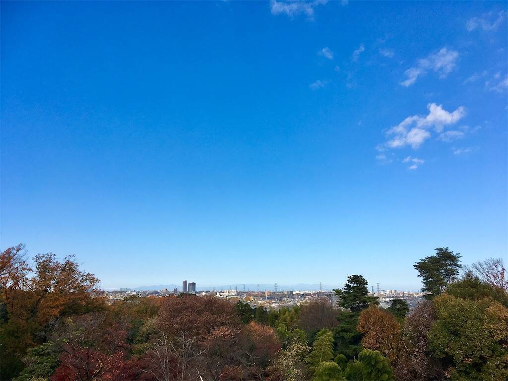f:id:Fukuneko:20251130133534j:image