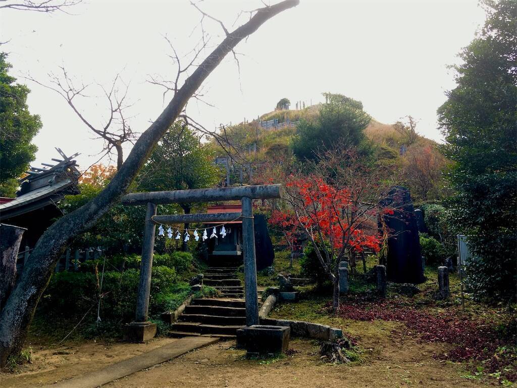 f:id:Fukuneko:20251130133539j:image