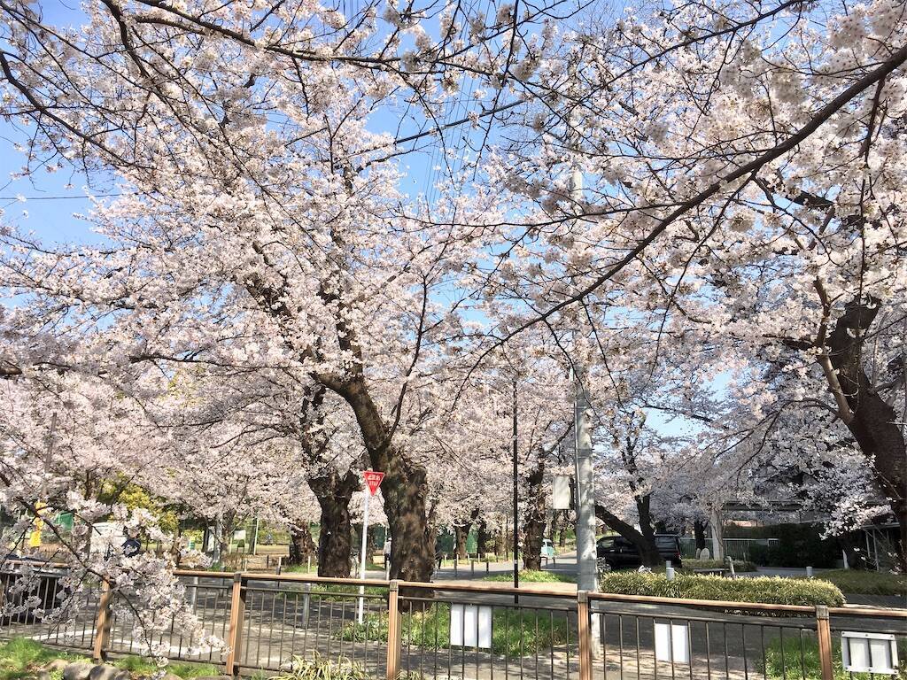 f:id:Fukuneko:20260329103327j:image