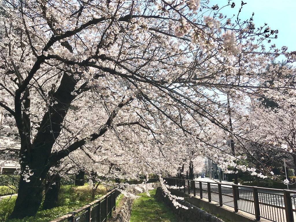 f:id:Fukuneko:20260329103351j:image