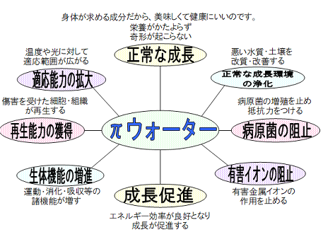 f:id:FukuokaSC:20190118173853p:plain f:id:FukuokaSC:20190118173853p:plain