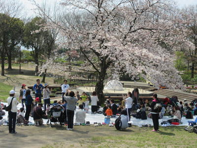 f:id:FukuokaSC:20190329214043j:plain