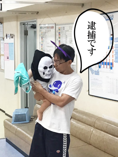 f:id:FukuokaSC:20191023230226j:plain f:id:FukuokaSC:20191023230226j:plain