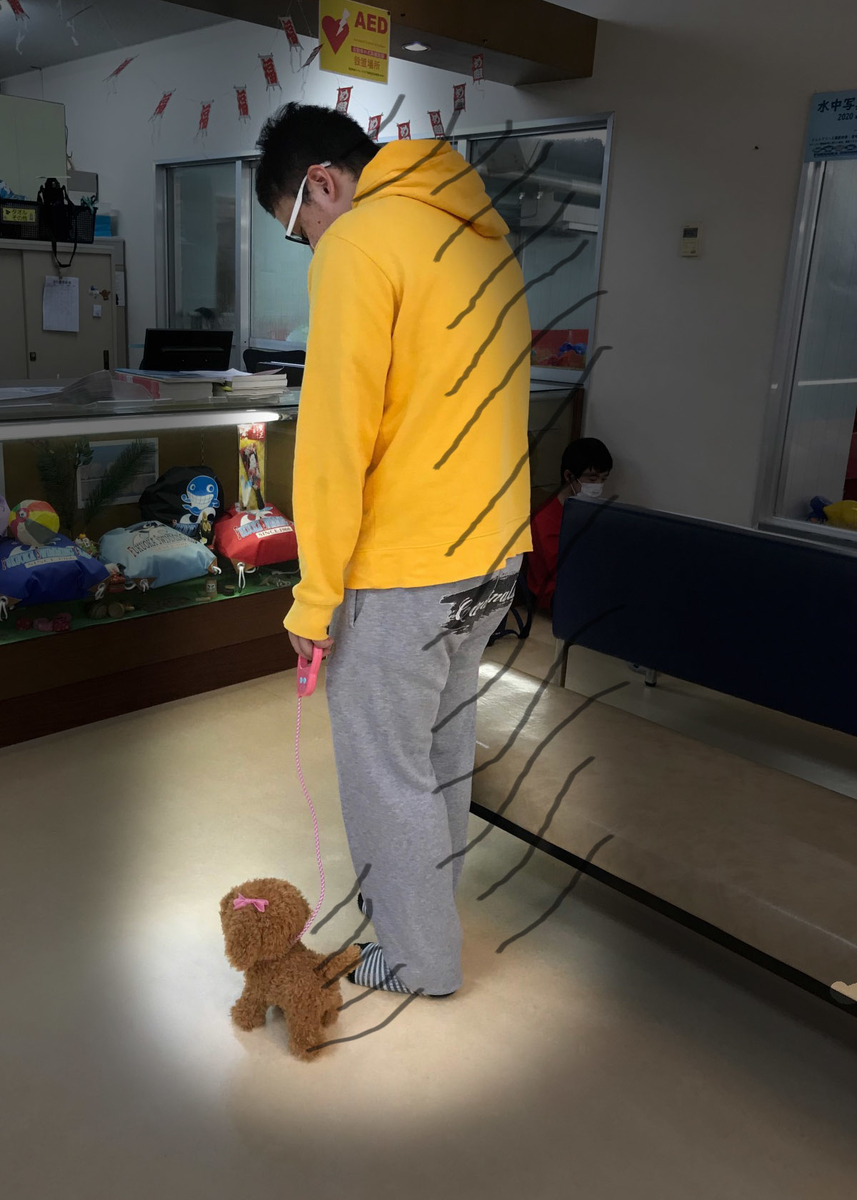 f:id:FukuokaSC:20191228082404j:plain f:id:FukuokaSC:20191228082404j:plain