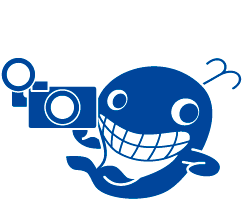 f:id:FukuokaSC:20200114083609p:plain