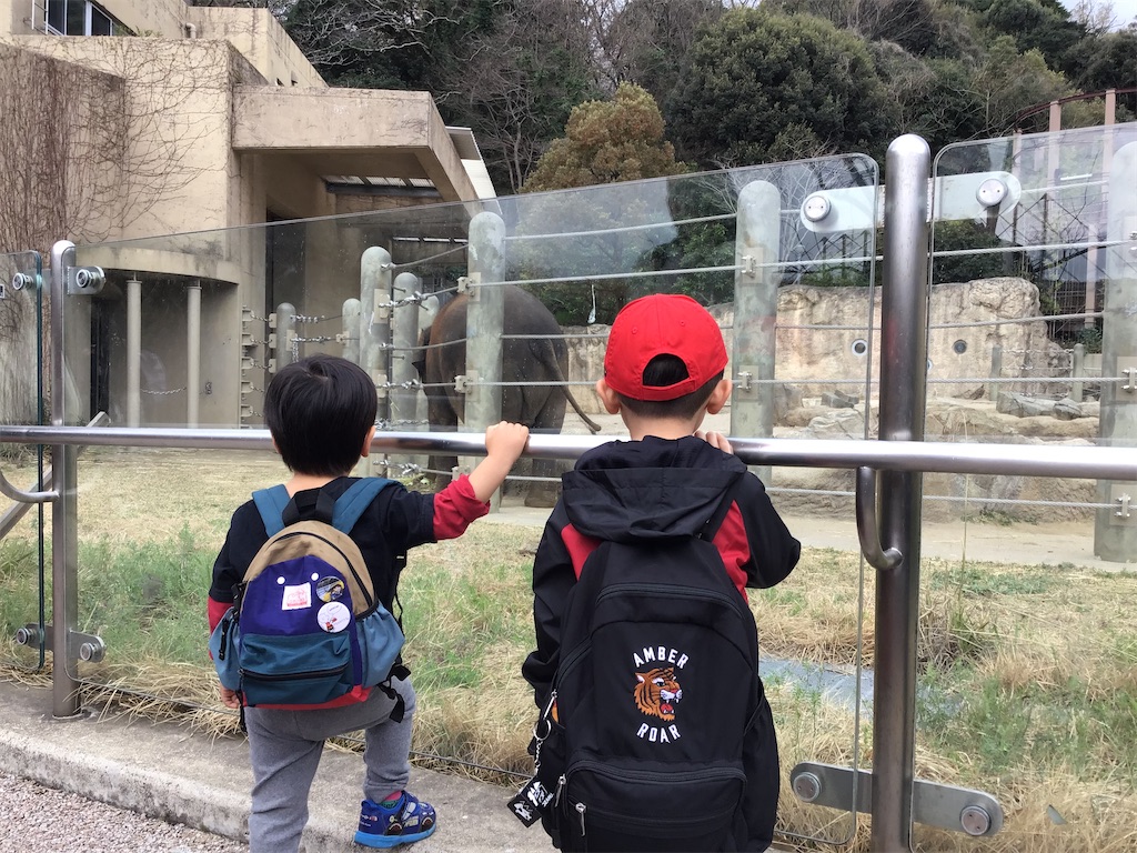 f:id:FukuokaSC:20250407124518j:image