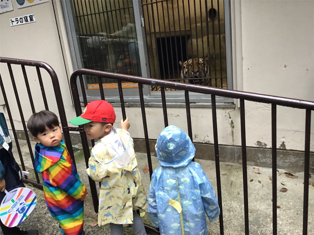 f:id:FukuokaSC:20250408091949j:image