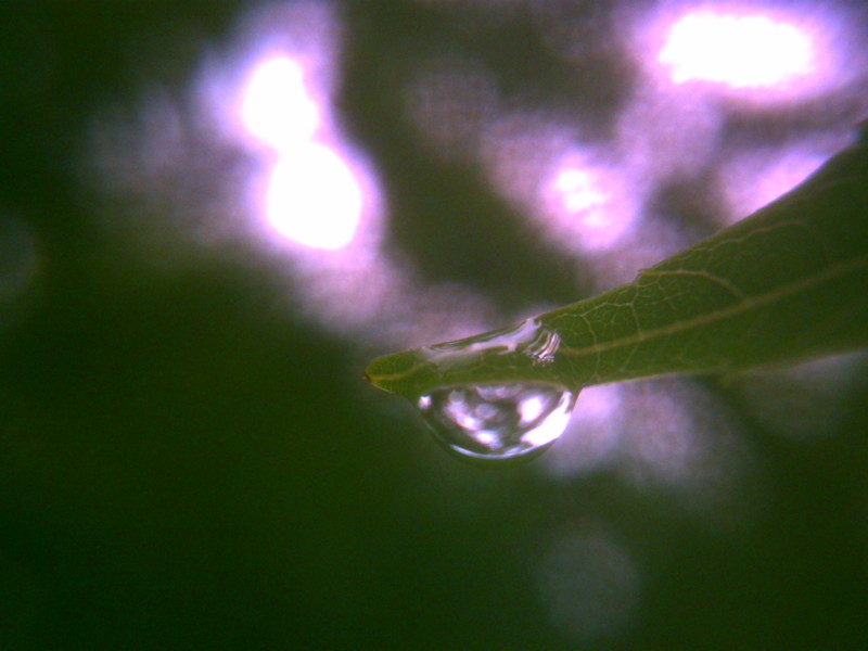 f:id:Full2yn:20090525105527j:image