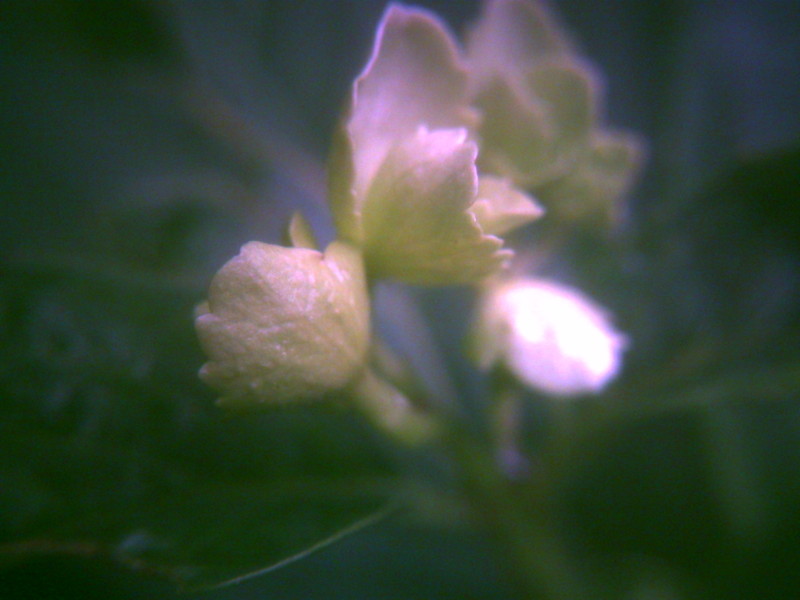 f:id:Full2yn:20090525105528j:image
