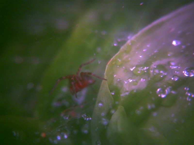 f:id:Full2yn:20090525105529j:image