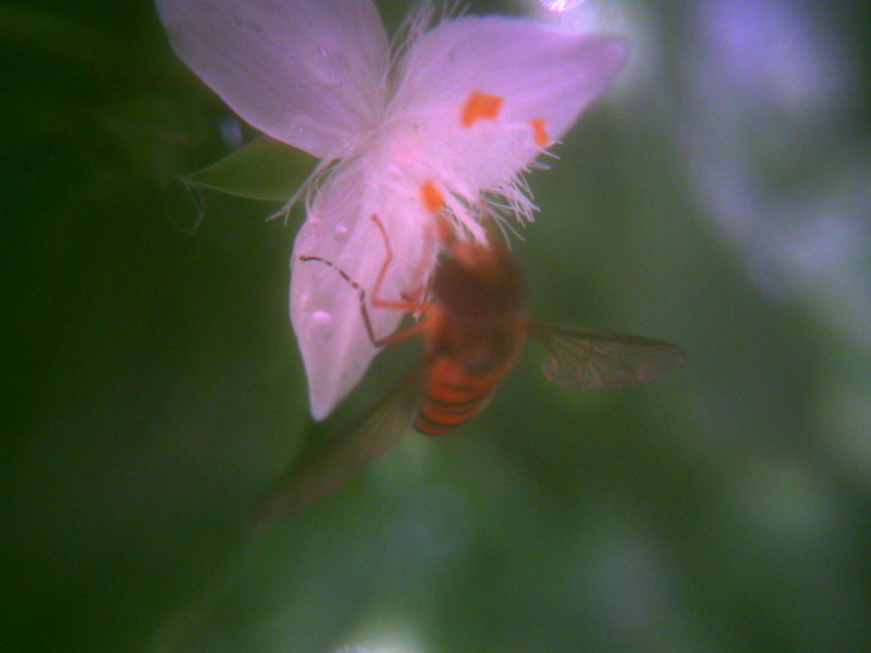 f:id:Full2yn:20090525105530j:image