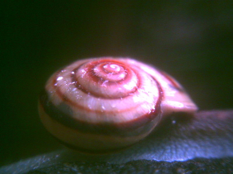 f:id:Full2yn:20090525105531j:image