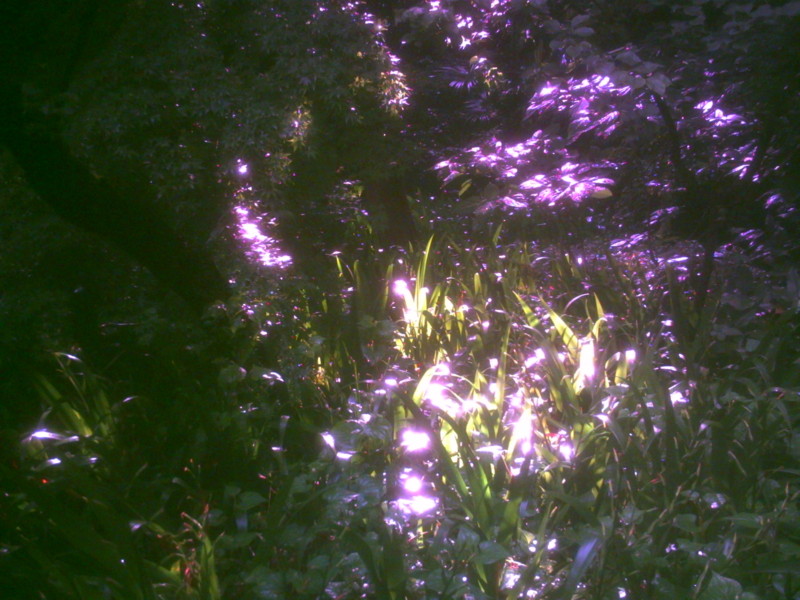 f:id:Full2yn:20090525105532j:image