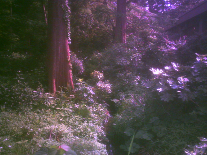 f:id:Full2yn:20090525105533j:image