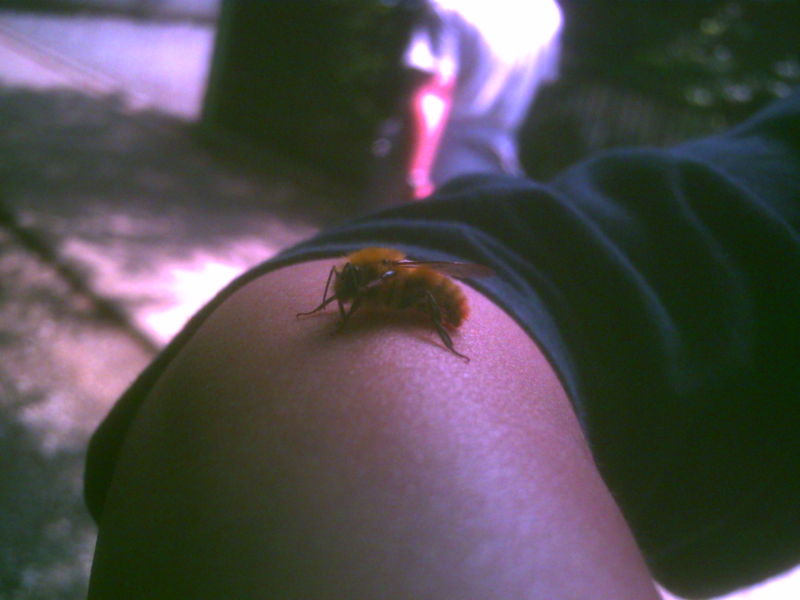 f:id:Full2yn:20090602011503j:image