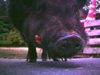 f:id:Full2yn:20090719222130j:image