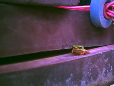 f:id:Full2yn:20090719222131j:image