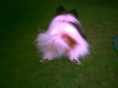 f:id:Full2yn:20090719222136j:image