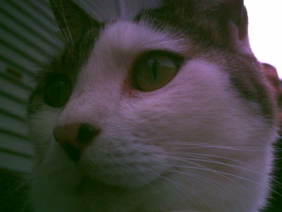 f:id:Full2yn:20090719222137j:image
