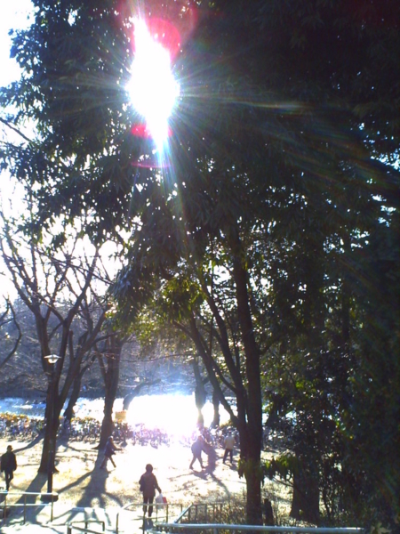 f:id:Full2yn:20100118133557j:image