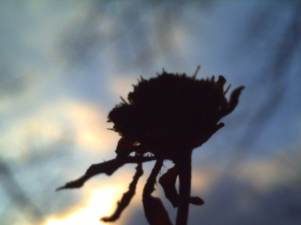 f:id:Full2yn:20100301001838j:image